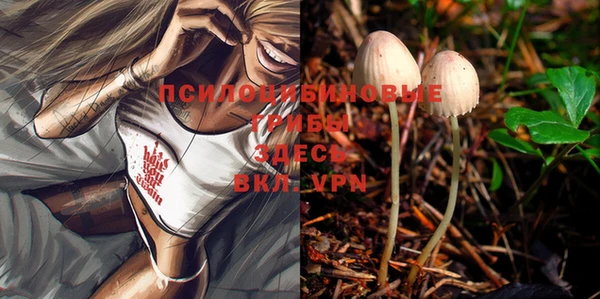 PSILOCYBIN Абдулино
