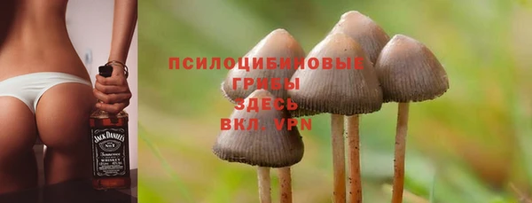 марихуана Абаза