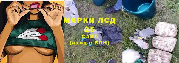 PSILOCYBIN Абдулино
