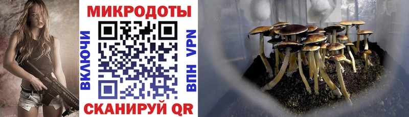 продажа наркотиков  Лебедянь  Псилоцибиновые грибы Cubensis 